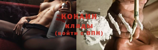 ПСИЛОЦИБИНОВЫЕ ГРИБЫ Кукмор