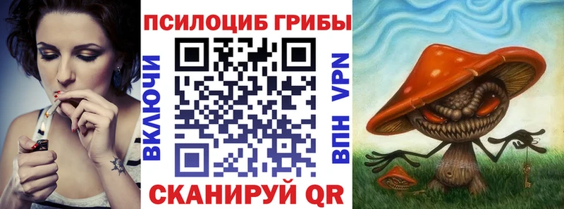 Псилоцибиновые грибы прущие грибы  Купить закладки  Высоцк 