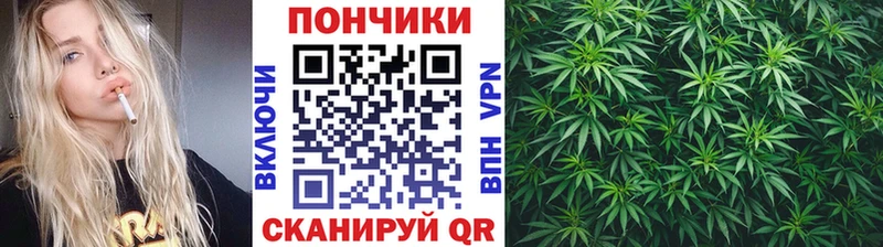 Шишки марихуана конопля Высоцк